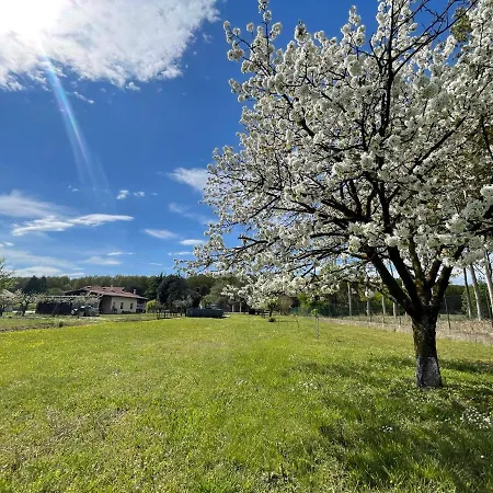 Da Leone Palazzolo dello Stella
