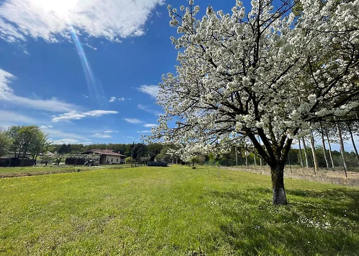 Da Leone Palazzolo dello Stella
